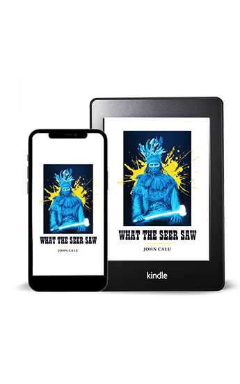 What the Seer Saw kindle & phone cover