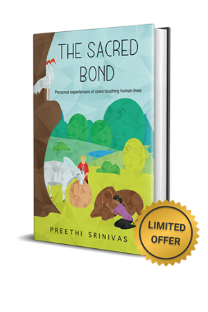 The Sacred Bond front cover
