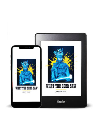 What the Seer Saw kindle & phone cover